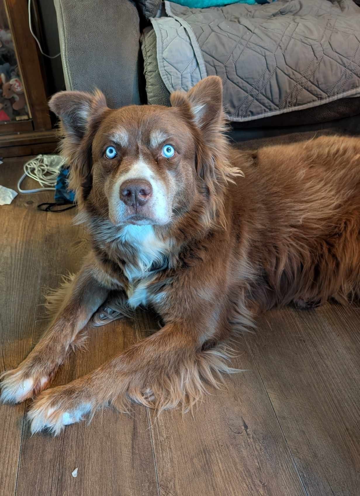 Senior/ Veterans Tuesday