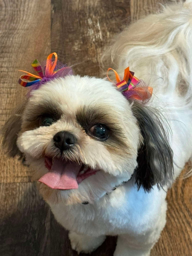 Brew and Chew Dog treats