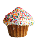 Cupcake Surprise
