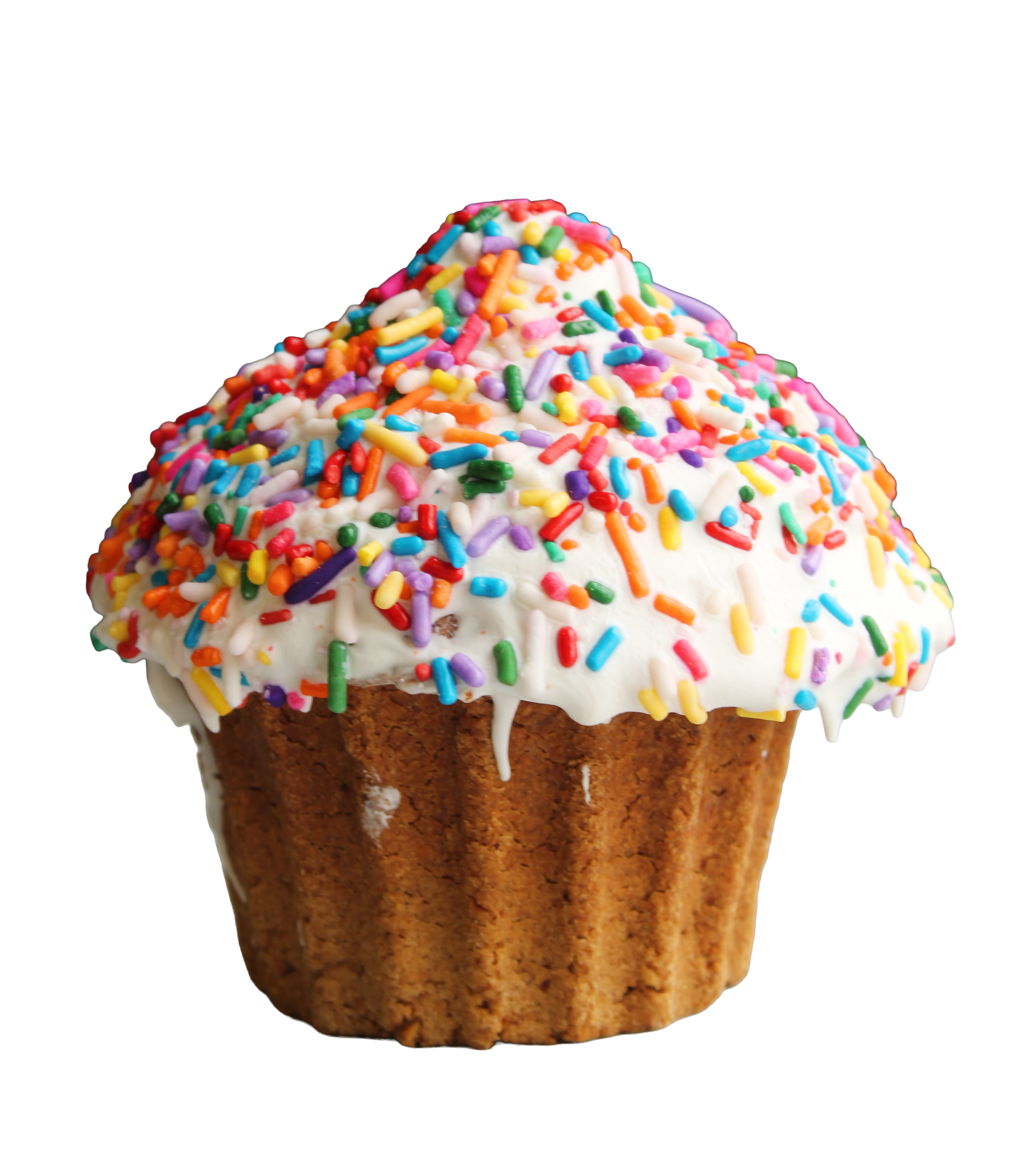 Fritter for Critters Cookies-Asst. sizes by style-Set of 6