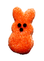 Fritter for Critters Cookies-Asst. sizes by style-Set of 6