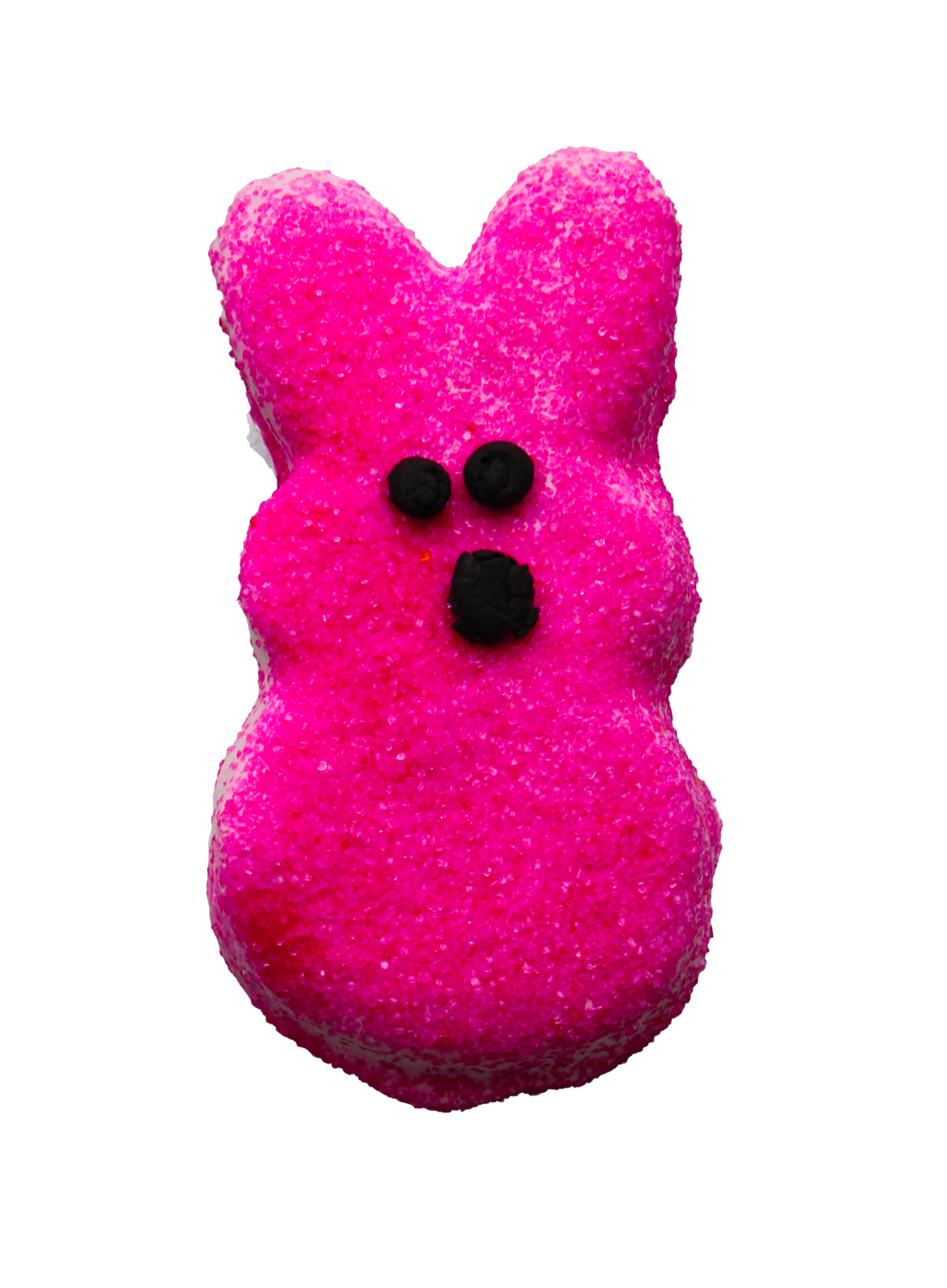 Fritter for Critters Cookies-Asst. sizes by style-Set of 6