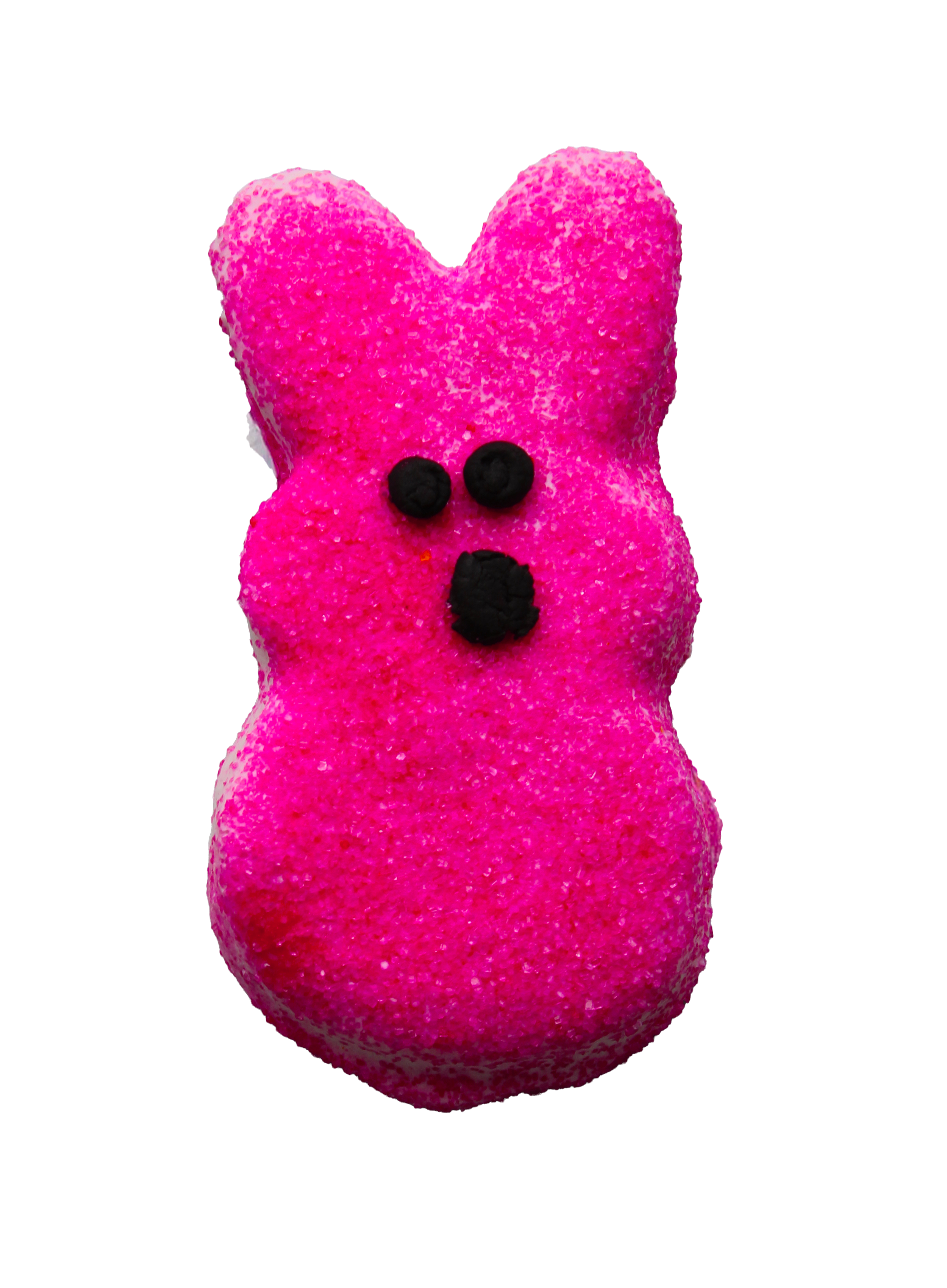 Fritter for Critters Cookies-Asst. sizes by style-Set of 6