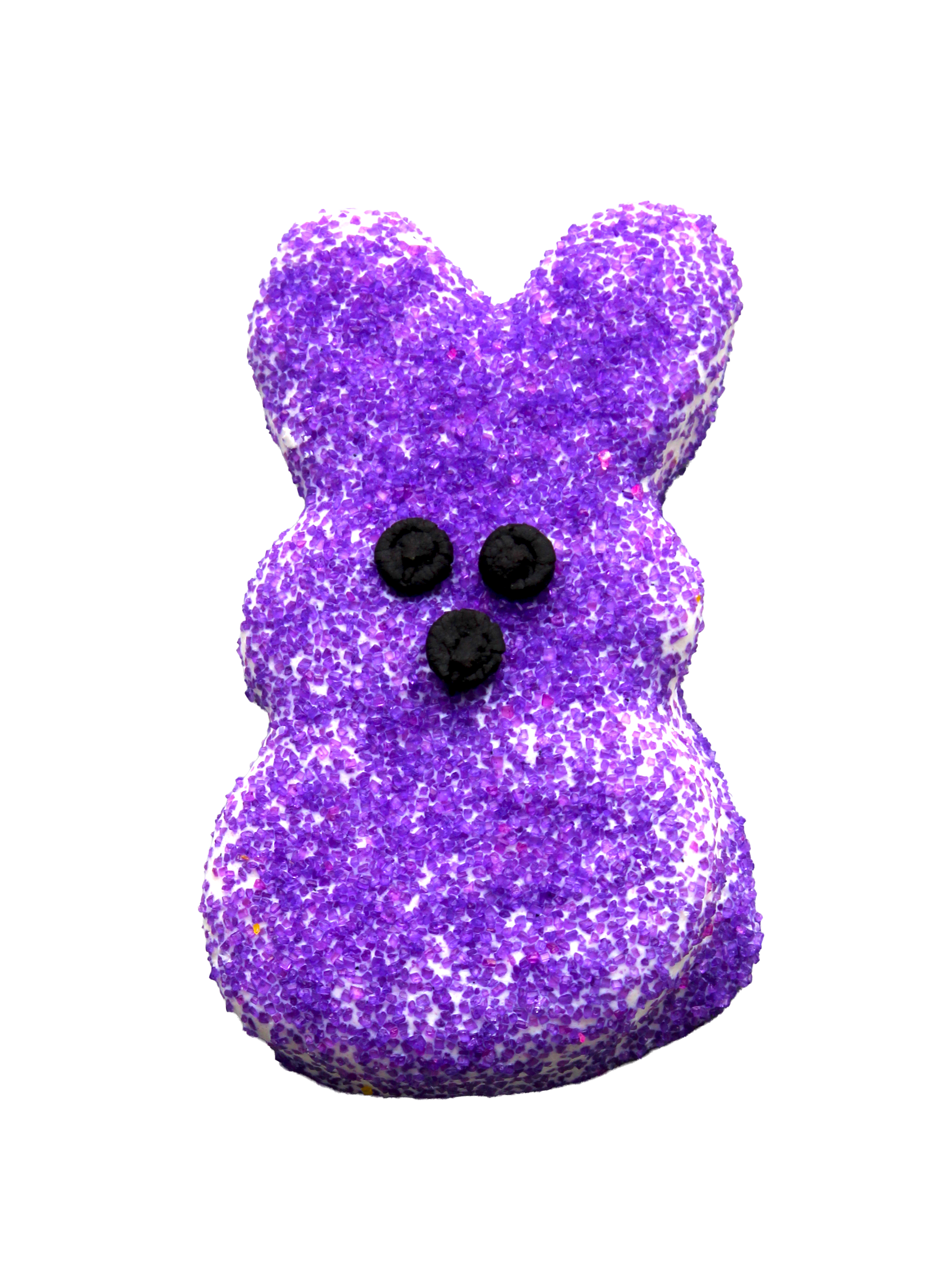Fritter for Critters Cookies-Asst. sizes by style-Set of 6